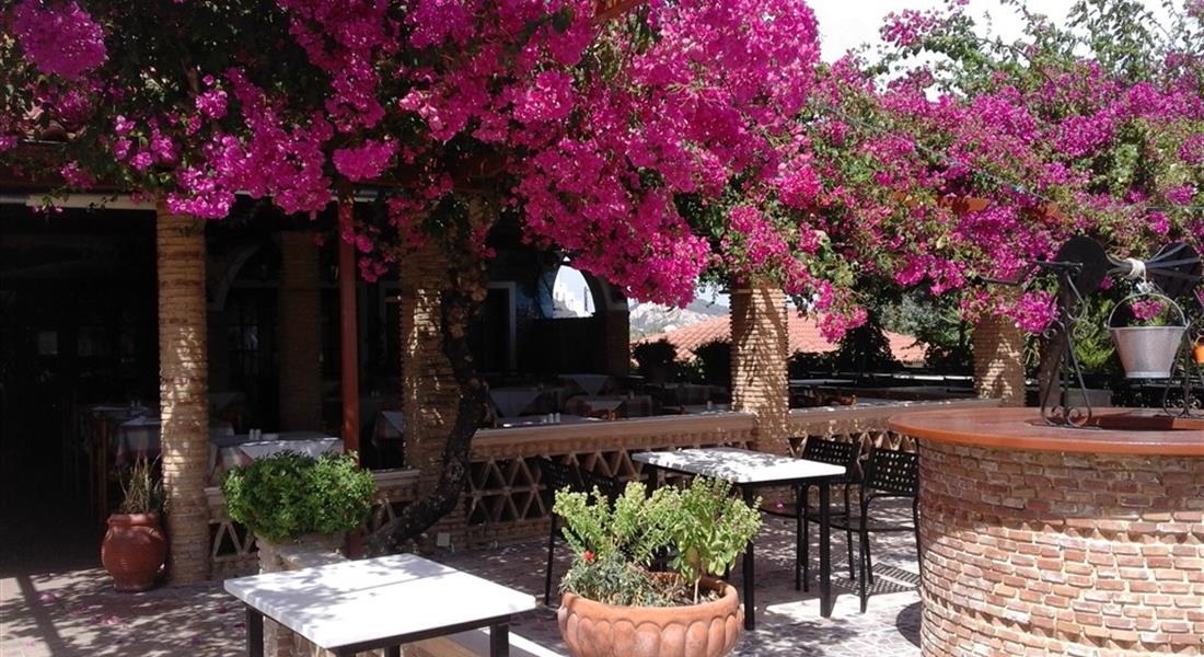 Zakynthos - Zakynthos_taverna pod rozkvetlou bougamvilí.